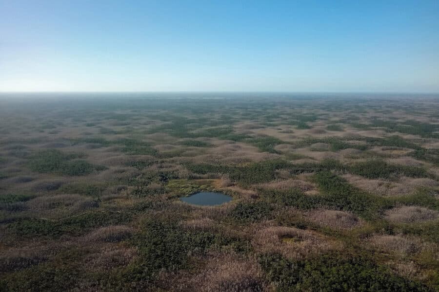An aerial view of undeveloped land in Florida extending to the horizon