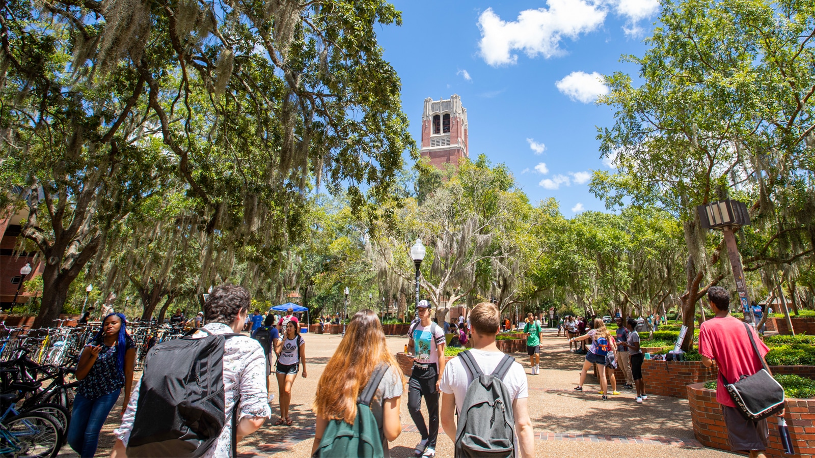 Students walk and bike through a tree-lined brick pathway on the University of Florida campus, with the historic Century Tower visible in the background.
