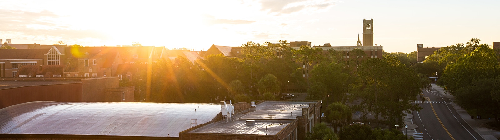 Landscape of the University of Florida. 