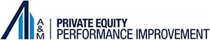 Private Equity Performance Improvement