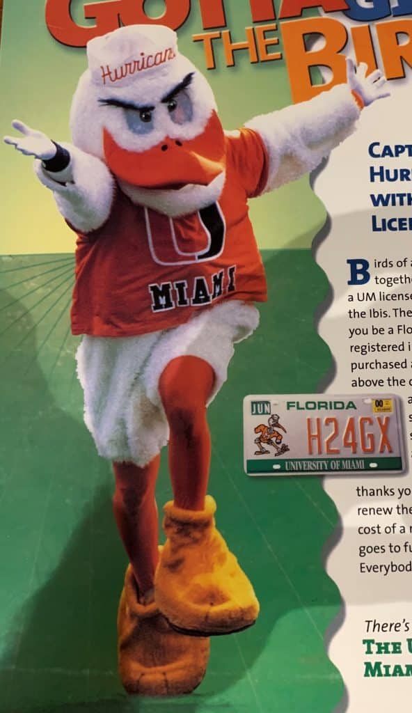 Aaron Wessner as UM's Sebastian the Ibis.